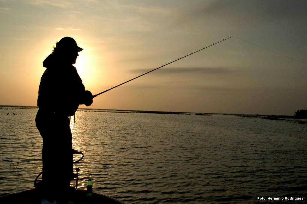 Horas mágicas para a pesca de superfície...