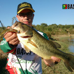 Achigã capturado com um swimbait da b8lab na cor Baby Bass