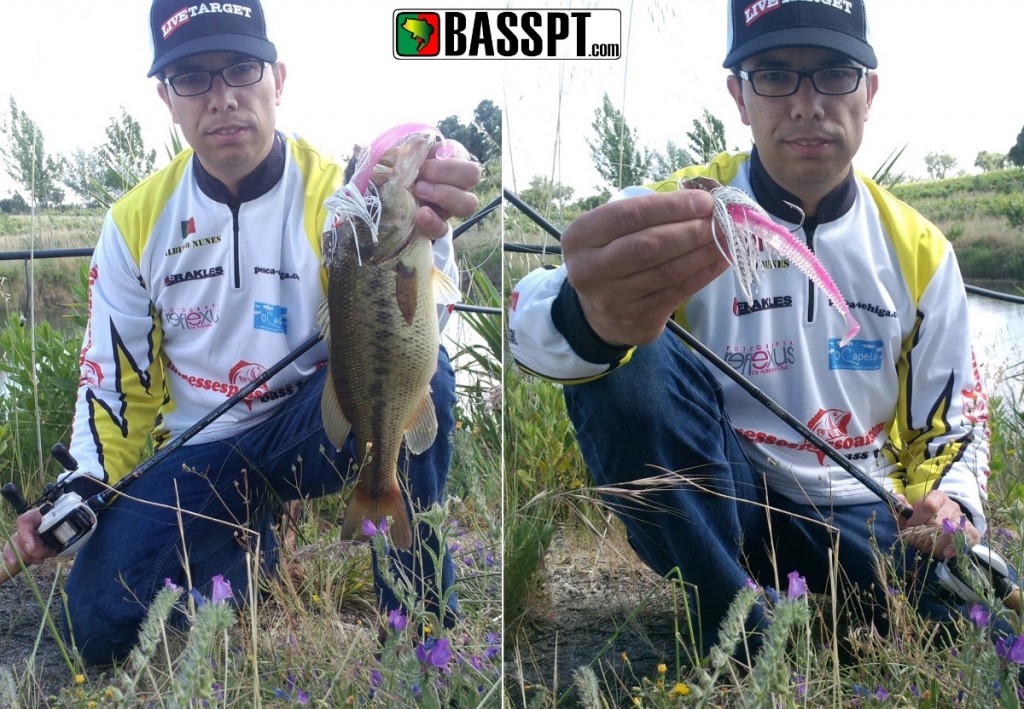 Ultimate Strike Minnow atrelada num jig com lâmina da Booyha