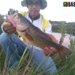 Bom exemplar capturado com uma USM da b8lab