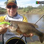 Hermínio Rodrigues com uma boa captura com um swimbait de vinil