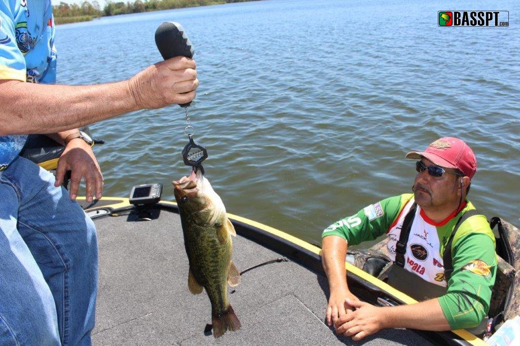 Pesagem - o atleta encosta ao barco da organização para que os peixes sejam pesados