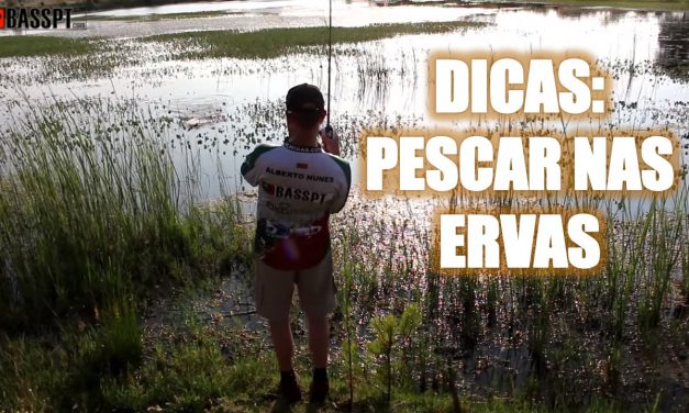 VIDEO: Dicas para pescar ao achigã nas ervas