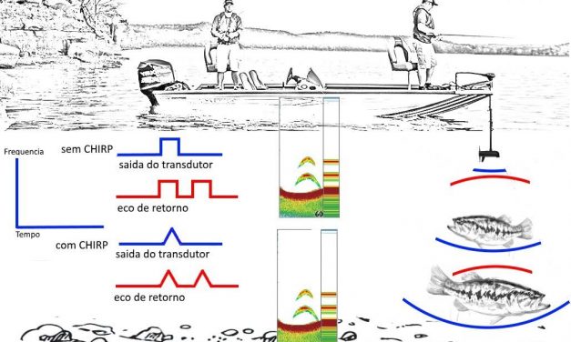 CHIRP – o que é e o que realmente faz
