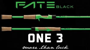 Fate Black 13 fishing