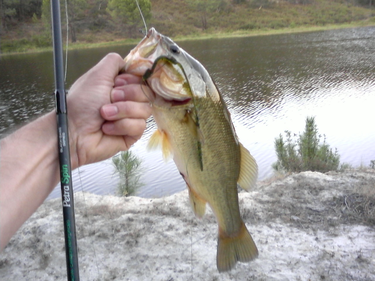 Pesca ao achigã – apanhar grandes com amostras de vinil