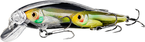 baitball emerald shiner jerkbait