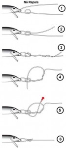 Nó Rapala
