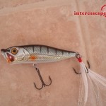 Popper Bubble Pop - Popper River2Sea