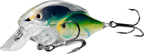 baitball threadfin shad squarebill